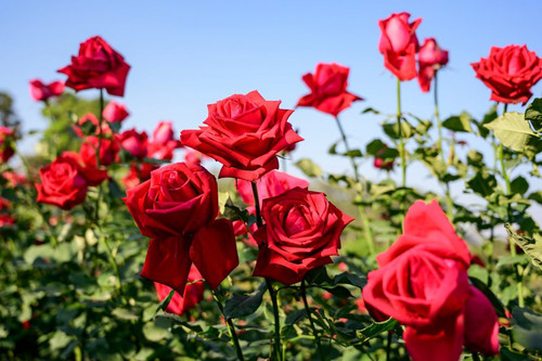 shutterstock 1662182848 min 1080x719.jpg