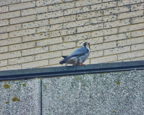 HA UkHBXAAANycB?format=jpg.jpg