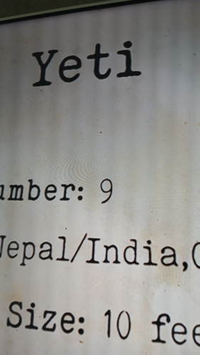 temp 1771068536918.jpg