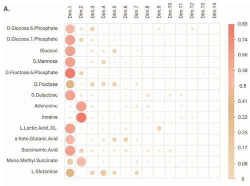 G 5ZqidbUAE v1x?format=jpg.jpg