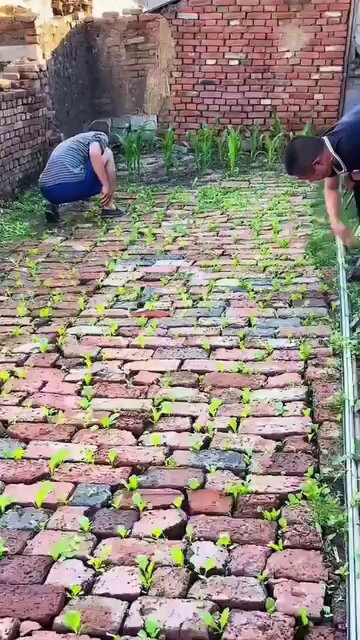 hMewgH zmMUqE6 k.jpg