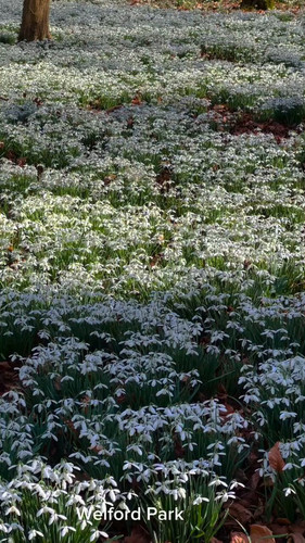 L7VRiqU6g dVwC 9.jpg