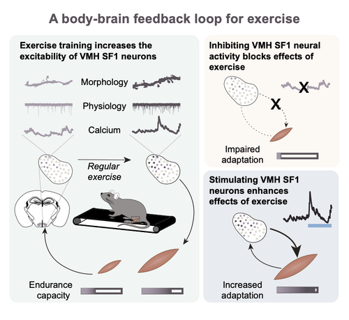 HA iaIebUAArpJD?format=png.png