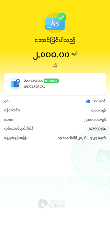 wavepay 873590134 1770951238283.png