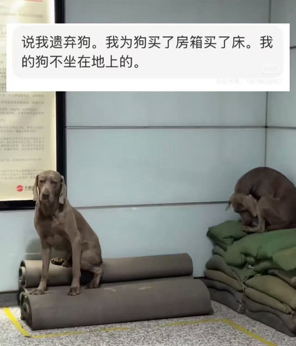 微信图片 20260213103357 707 74.jpg