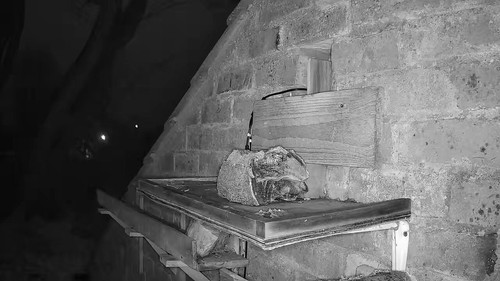 U95asx1yznbFF Vj.jpg