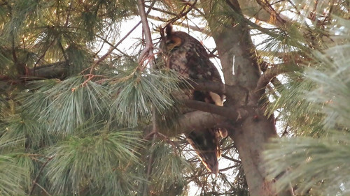 qiGV8dMEhOnA LiC.jpg