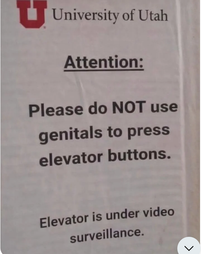 dcaddf4f 127f 4b6a 9793 9d21432590ea ReverseSearchImage.png