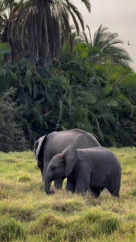 QGcXMQFC XYFLUN2.jpg