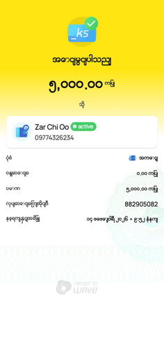 wavepay 882905082 1771039360317.png