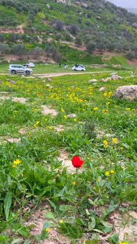 TR6DZPnr2m fwudR.jpg