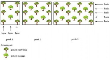 pohon mangga.jpg