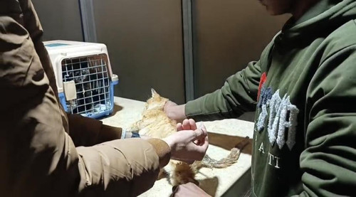 HBDj 1qacAA aOH?format=jpg.jpg