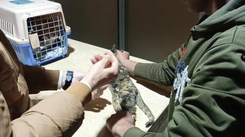 HBDj 1KbUAAjOBS?format=jpg.jpg