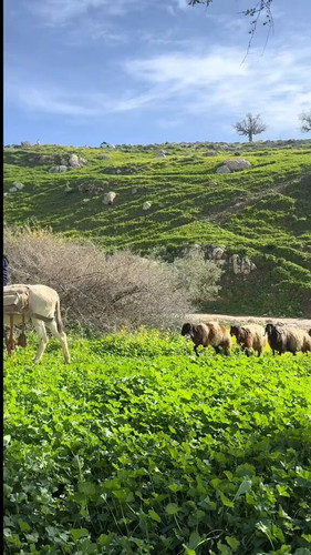 XchhPWD8SSL8 Mzz.jpg