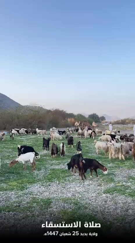 1ezH vcxZd VF859.jpg