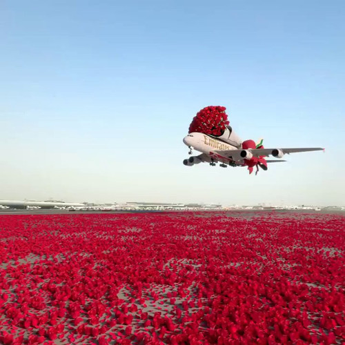 SqUNMR Ng8UN53iE.jpg