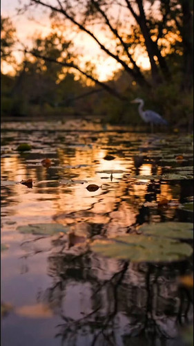 fvHNlK2f M FGryh.jpg