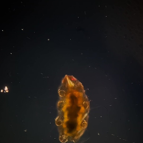 6 pu5IhkP0O7K02M.jpg