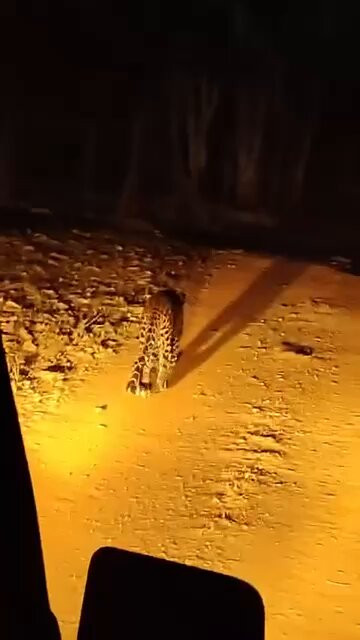 7oIGiHvwCNvt U9K.jpg