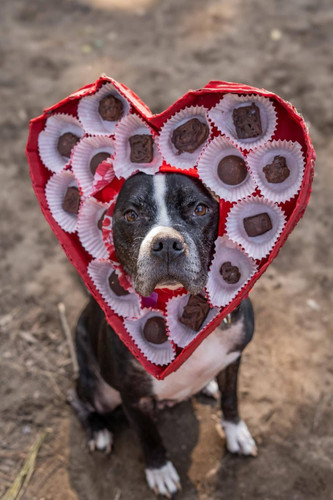 HBFXeooXwAEwsk ?format=jpg.jpg