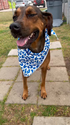 wCV0lso ttlH2TH2.jpg