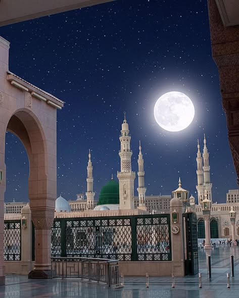 632207022 1345516484268881 2318021327314230093 n.jpg?stp=dst jpg s590x590 tt6& nc cat=101&ccb=1 7& n.jpg