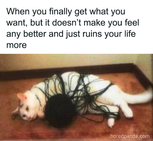 0 6978c4a825128 700.jpg