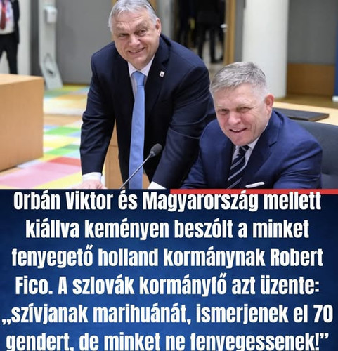 634216627 925939753509496 4839506702338096201 n.jpg?stp=cp6 dst jpg p180x540 tt6& nc cat=108&ccb=1 7.jpg