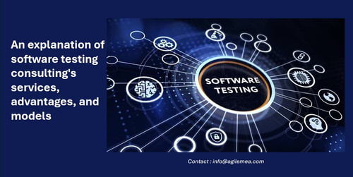 Software testing.jpg