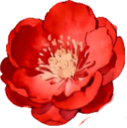 retouch 2026021317371417.png