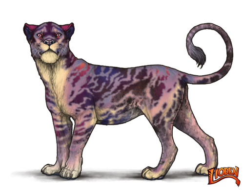 lioden wardrobe (7).png