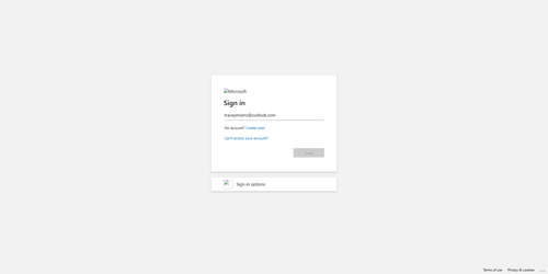 2026 02 13T22 50 16 135Z OFFICE email entered password.png