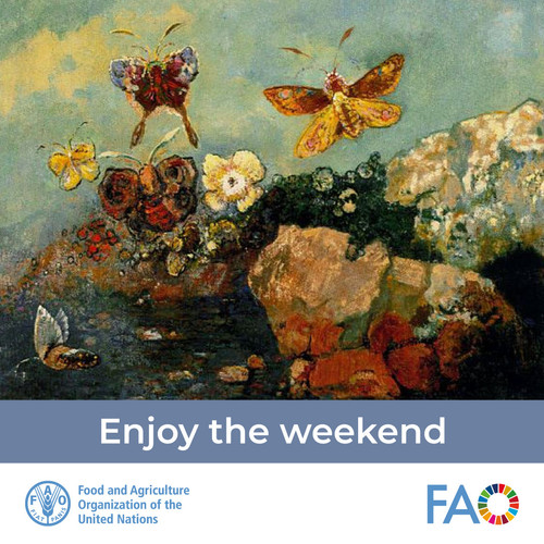 HBDCWq XMAAcdM9?format=jpg.jpg