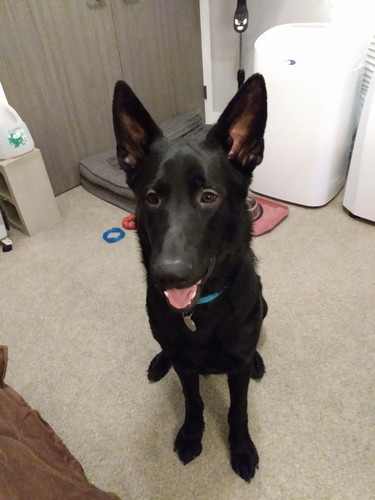 Gustav age 9 months 01.14 (4).jpg