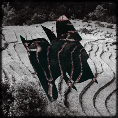 Cục Máu Dông.webp