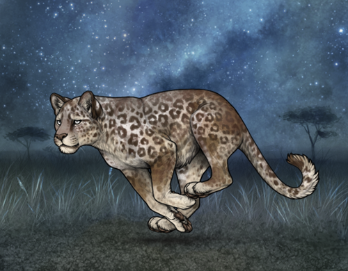 Screenshot 2026 02 13 at 5.38.22 PM.png