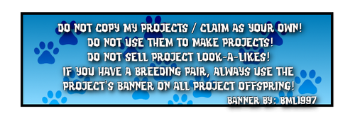 beetriz registry in blue