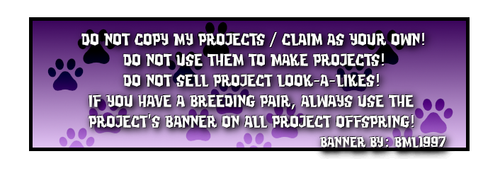 beetriz registry in purple