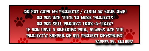 beetriz registry in red