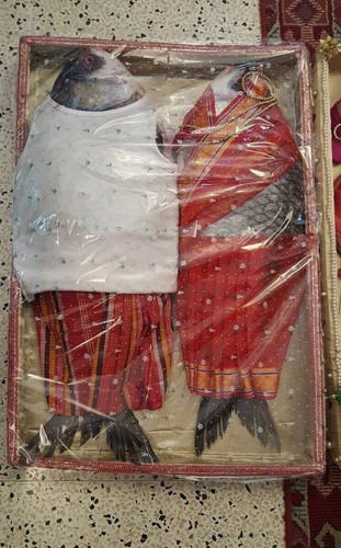 PHOTO 2026 02 02 11 49 36.jpg