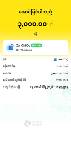 wavepay 875915019 1770967041874.png