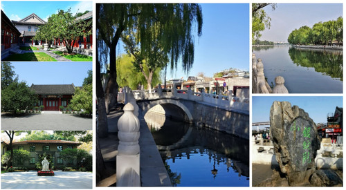 Collage 20260213 145820.jpg