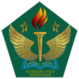 LOGO SDN 6 PULE NOW.png