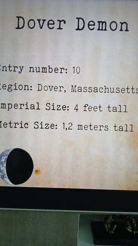 temp 1771070061248.jpg