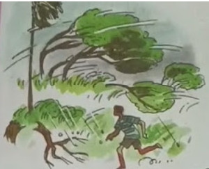 Screenshot 2026 02 14 17 34 39 65 40deb401b9ffe8e1df2f1cc5ba480b12.jpg