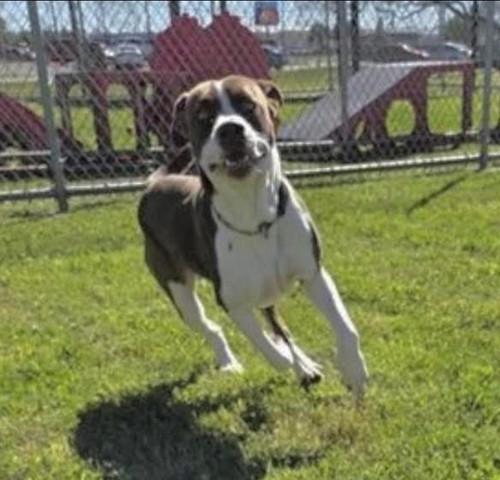 HA O37FbsAMkNzl?format=jpg.jpg