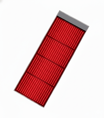 Gemini Generated Image qp2xl2qp2xl2qp2x.png