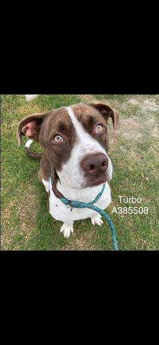 HA O4ciWMAAuw0D?format=jpg.jpg