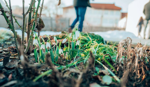 634658775 1427930442059202 6704625997660878725 n.jpg?stp=dst jpg p180x540 tt6& nc cat=106&ccb=1 7& n.jpg